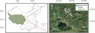 Increased availability of preferred food and decreased foraging costs from degraded grasslands lead to rodent pests in the Qinghai-Tibet Plateau